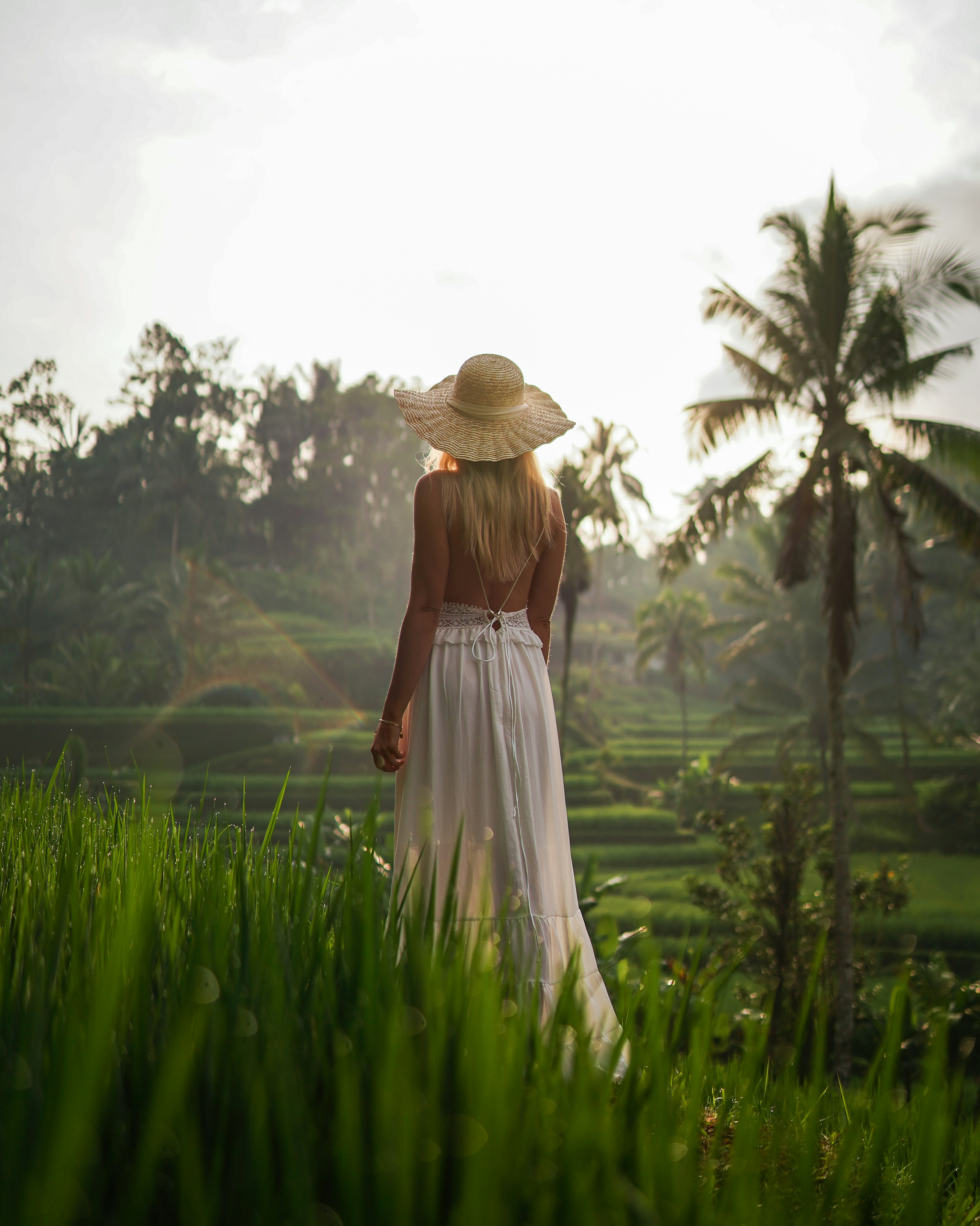D12 Visa (Pra-investasi)